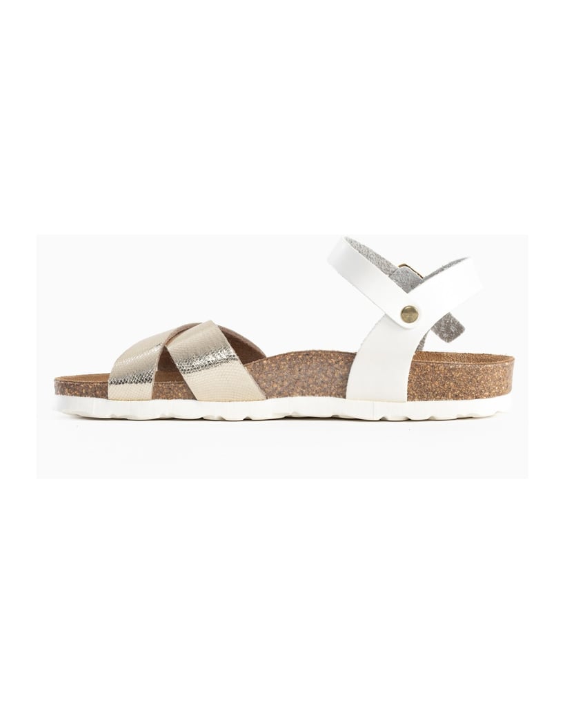 Bayton-Sandales-Vallado-schwarz