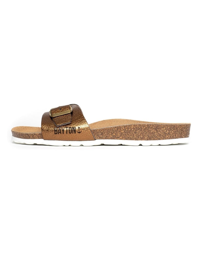 Bayton-Mules-Zamora-camel