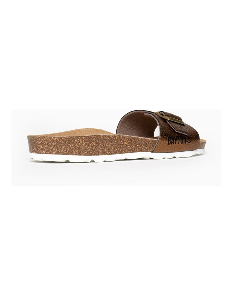Bayton-Mules-Zamora-camel