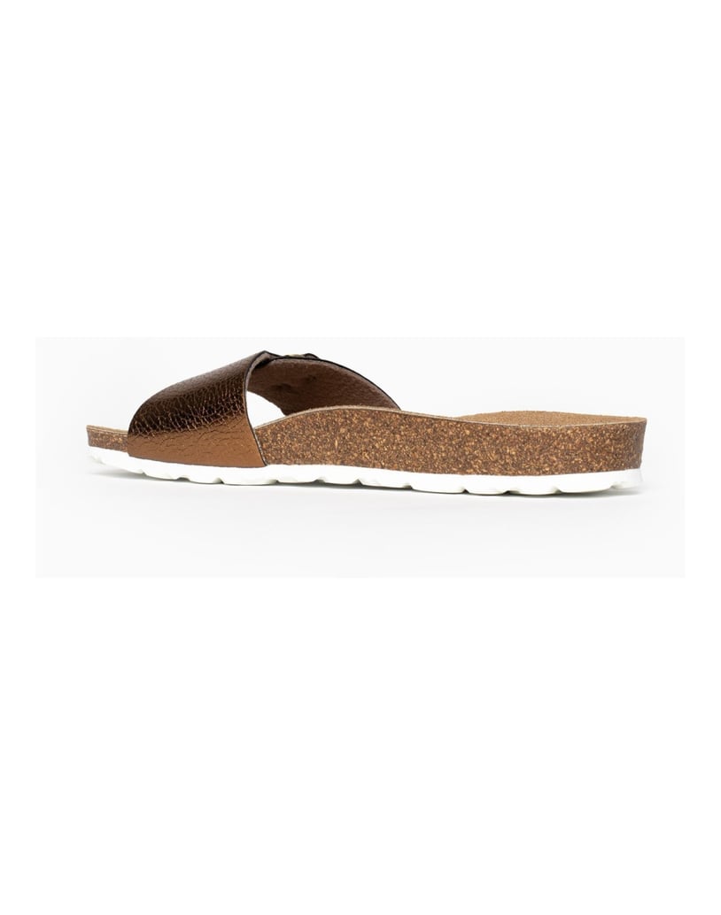 Bayton-Mules-Zamora-camel