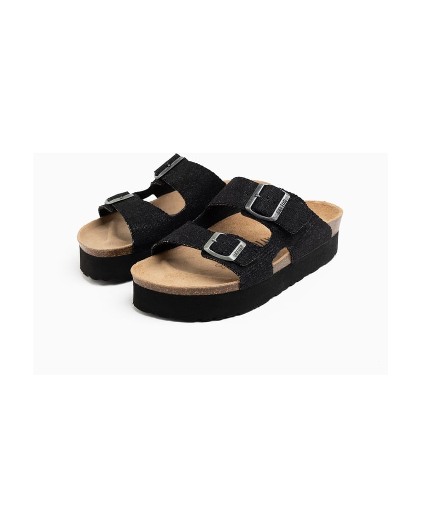Bayton-Mules-Raum-schwarz