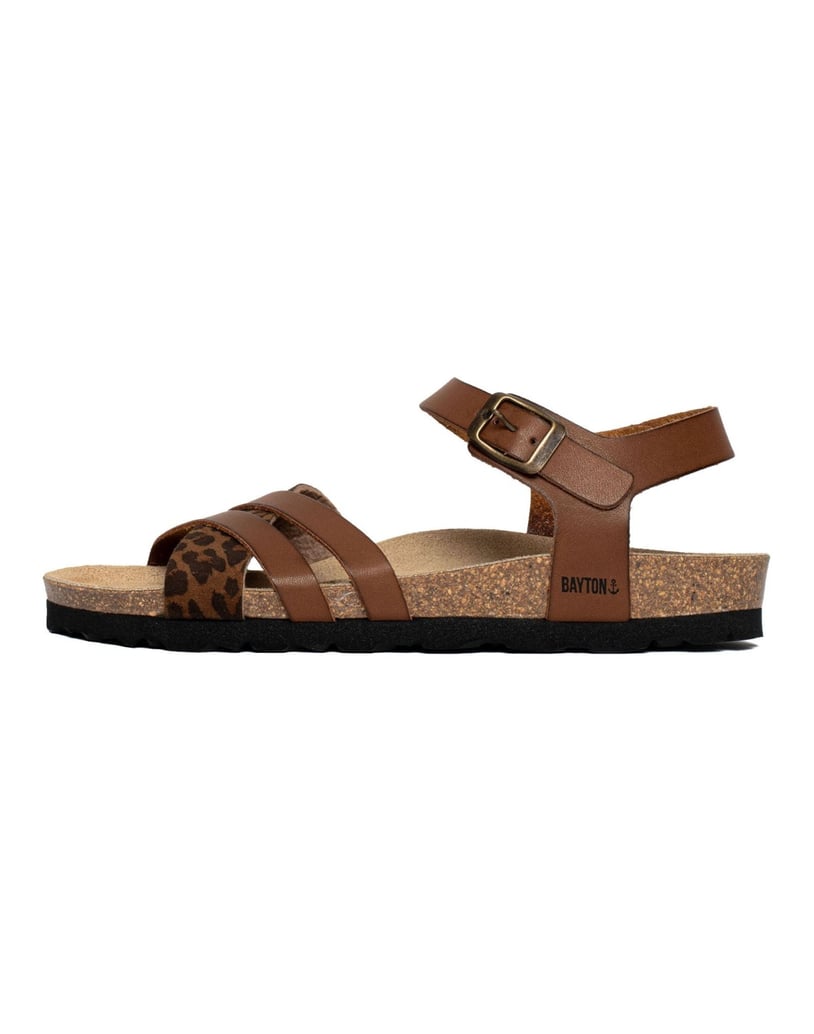 Bayton-Mules-Denia-camel-