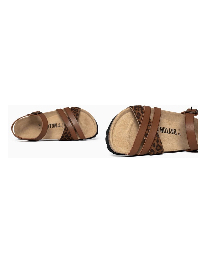 Bayton-Mules-Denia-camel-