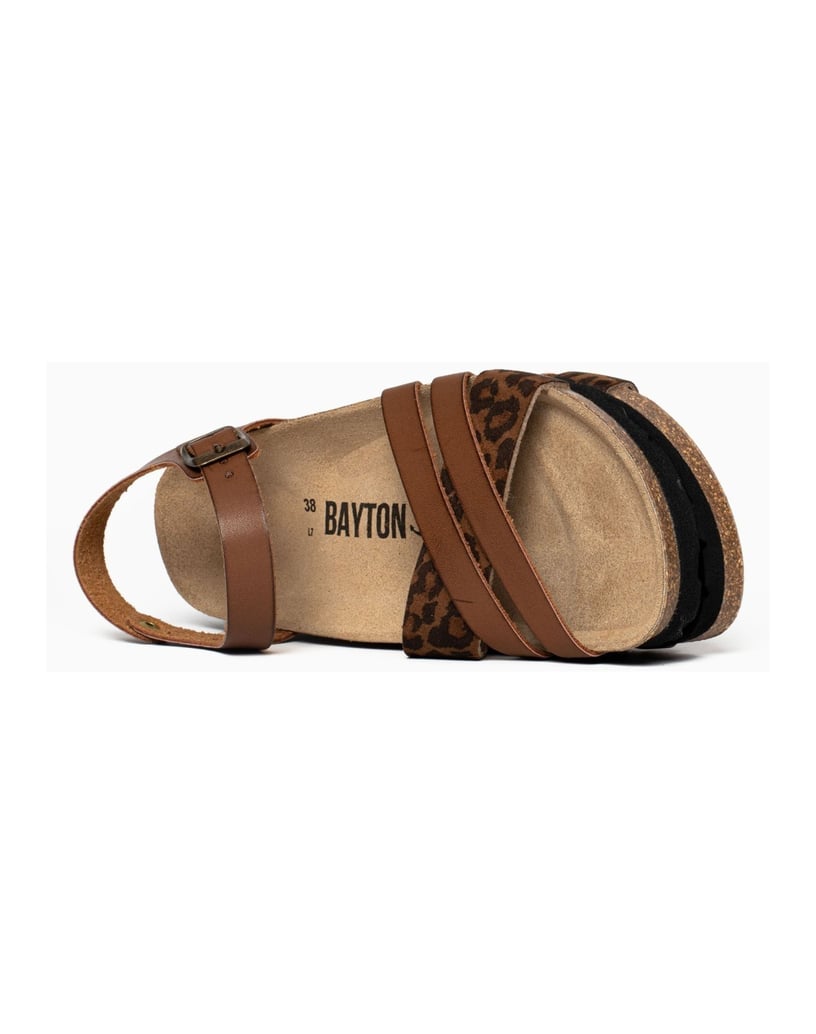 Bayton-Mules-Denia-camel-