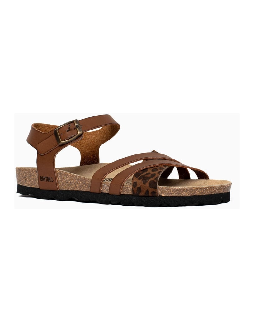 Bayton-Mules-Denia-camel-