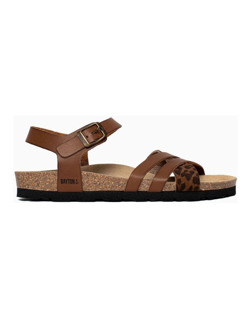 Bayton-Mules-Denia-camel-