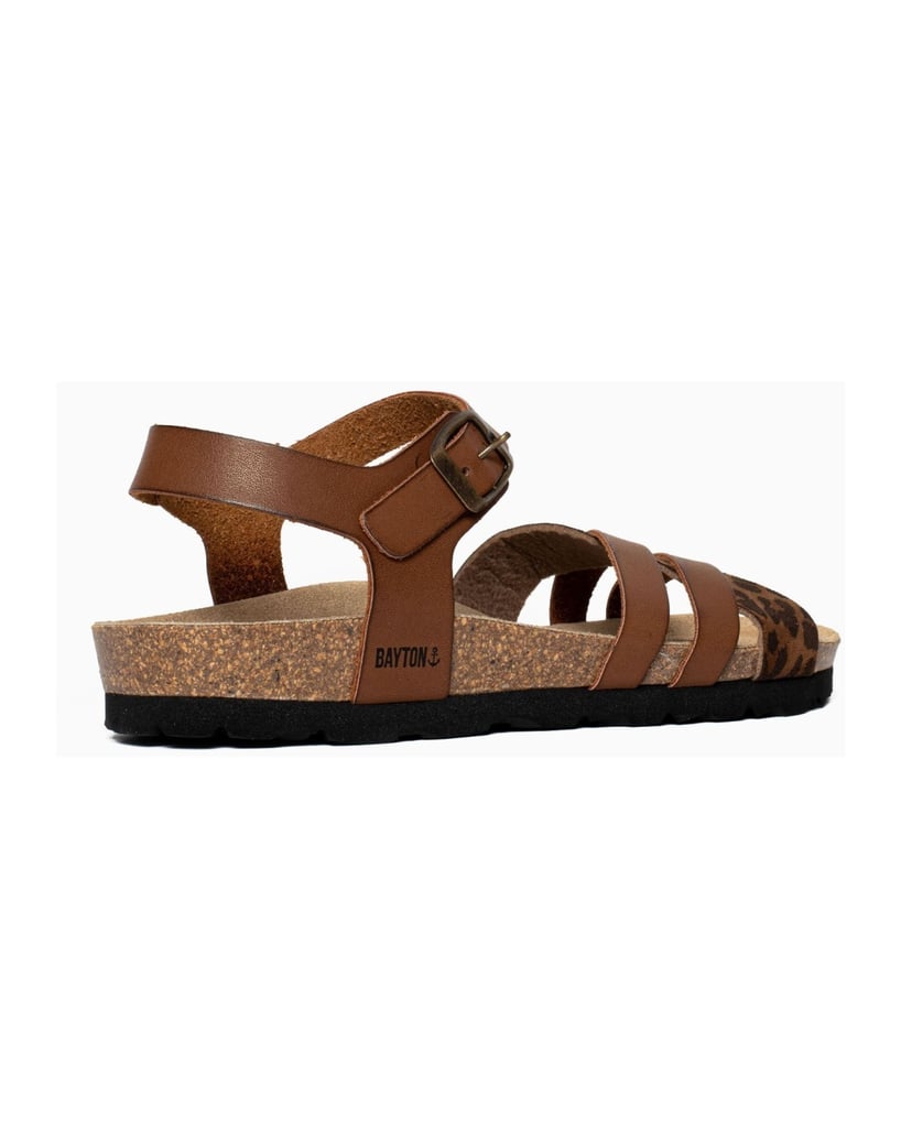 Bayton-Mules-Denia-camel-