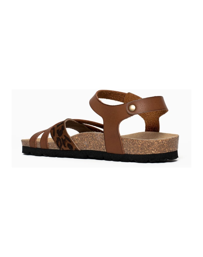 Bayton-Mules-Denia-camel-