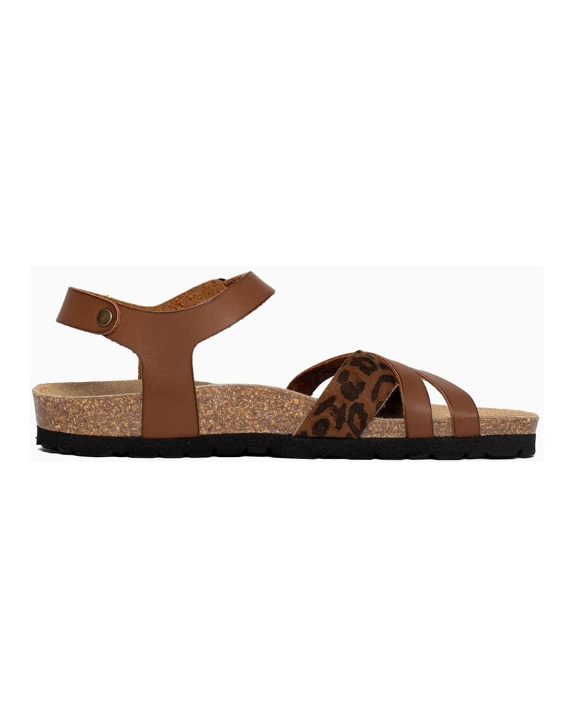 Bayton-Mules-Denia-camel-