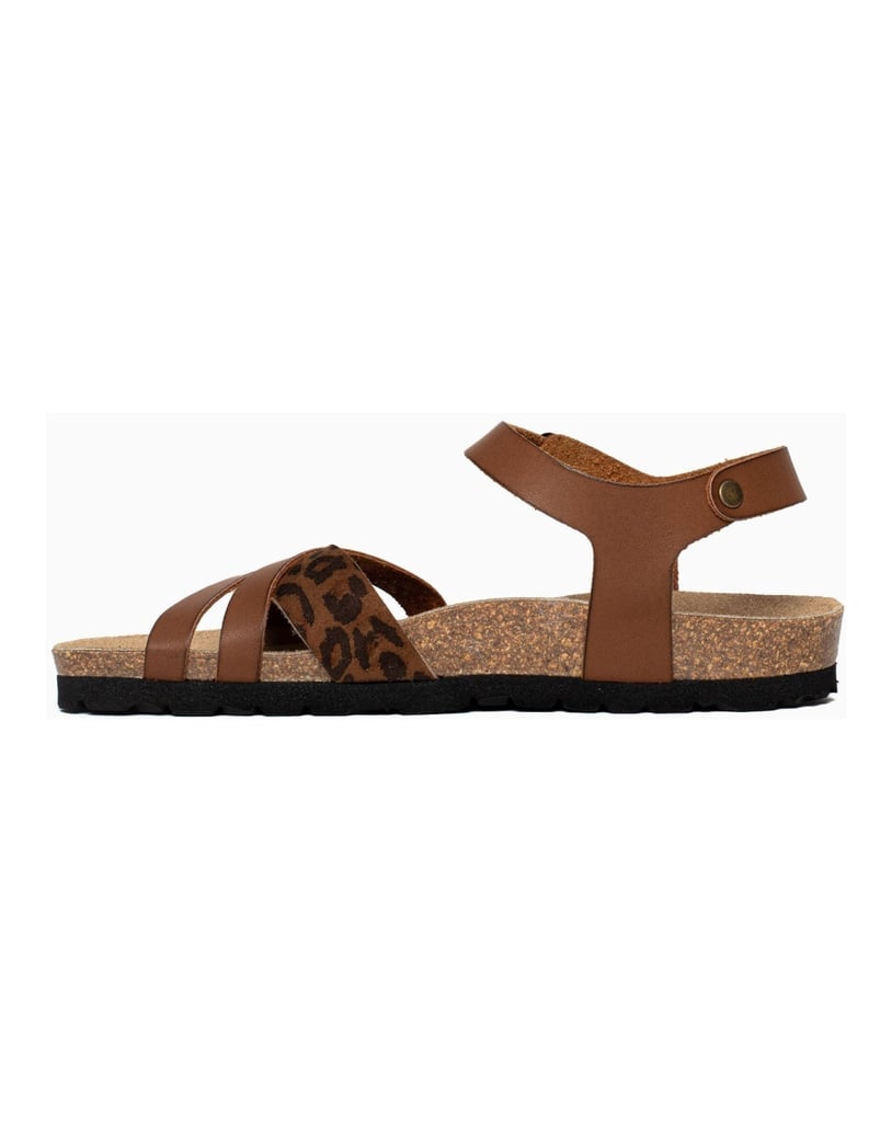 Bayton-Mules-Denia-camel-