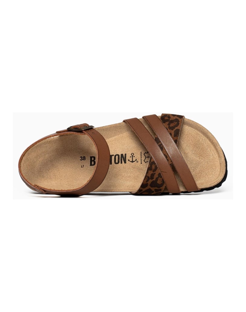 Bayton-Mules-Denia-camel-