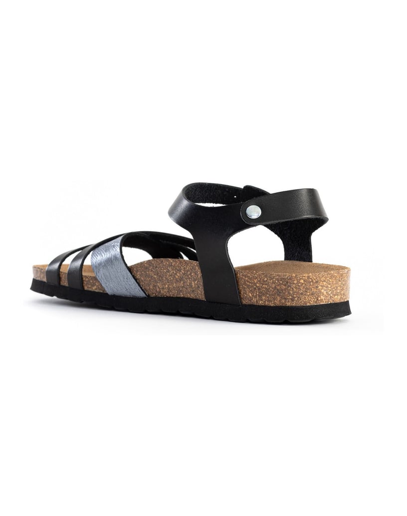 Bayton-Mules-Denia-camel-