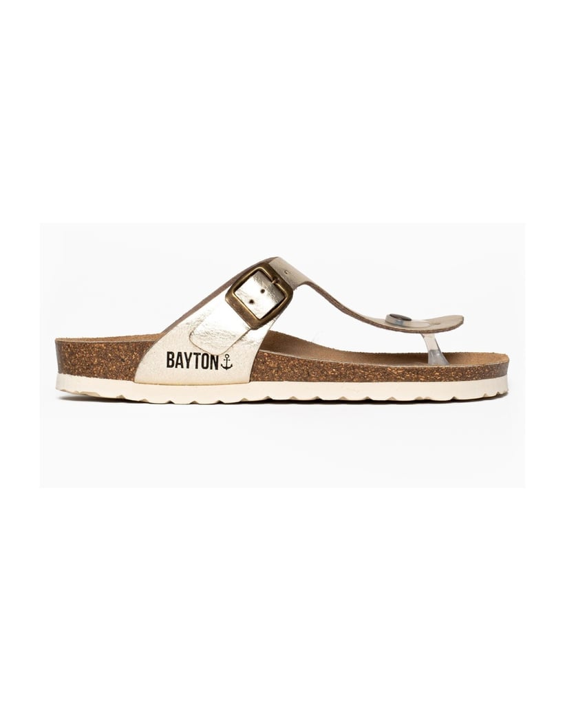 Bayton-Mules-Cordoba-gold