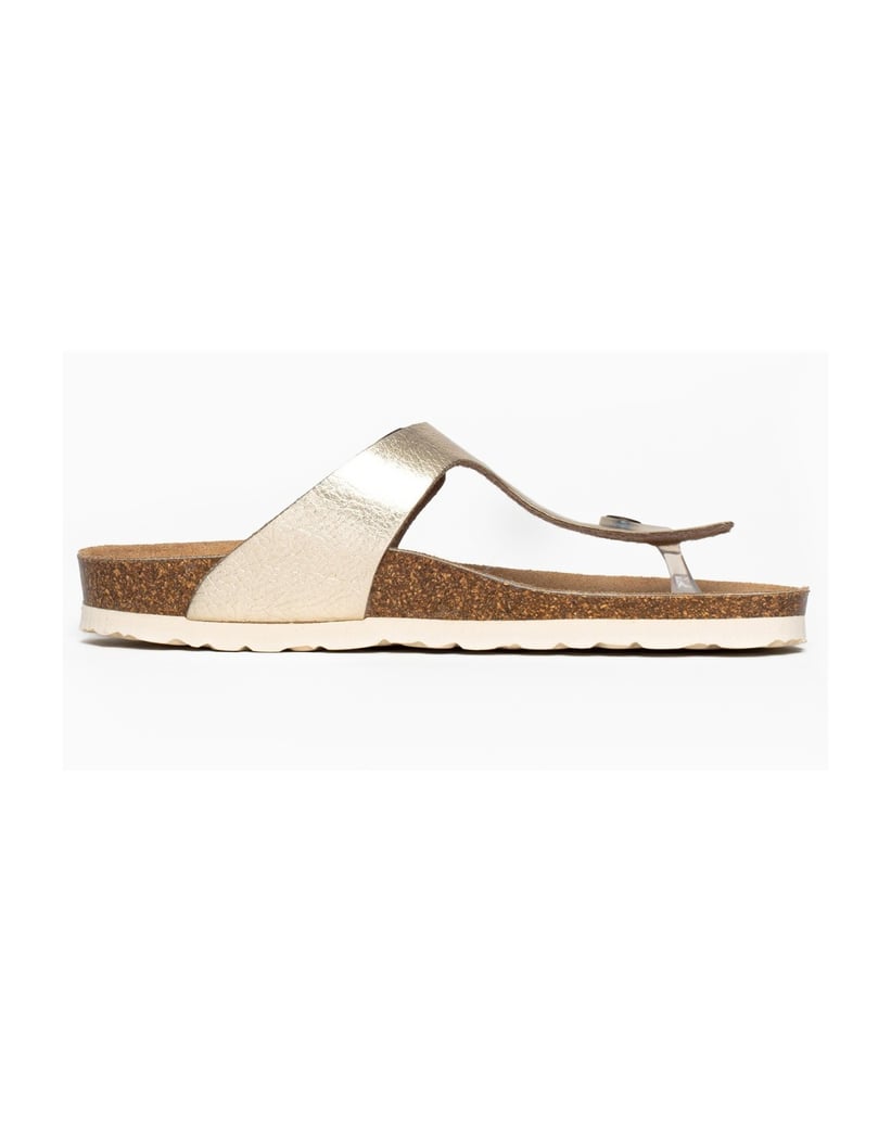 Bayton-Mules-Cordoba-gold