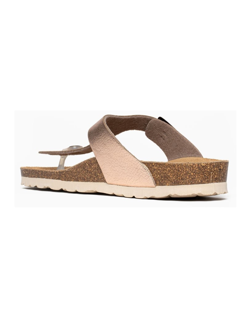 Bayton-Mules-Cordoba-gold