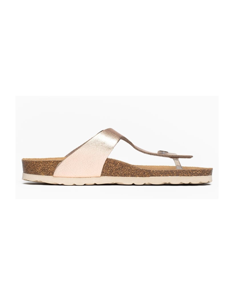 Bayton-Mules-Cordoba-gold