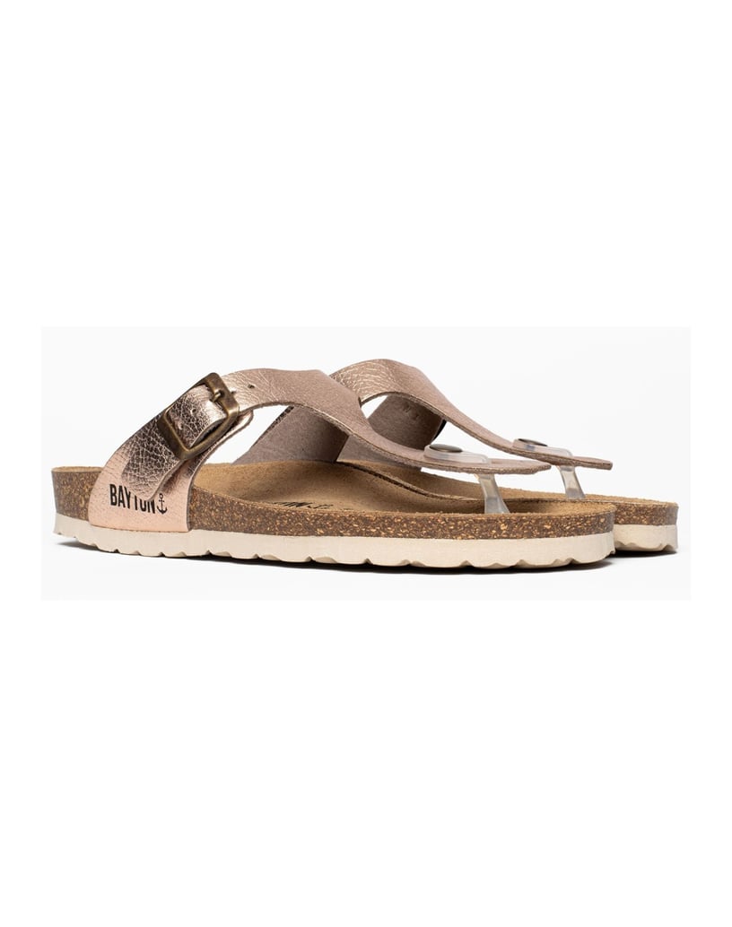 Bayton-Mules-Cordoba-gold