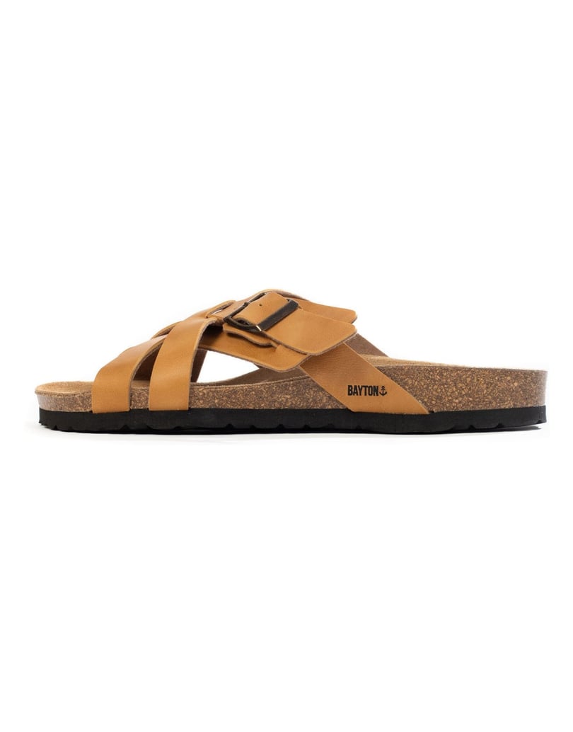 Bayton-Mules-men-RIETI-camel-