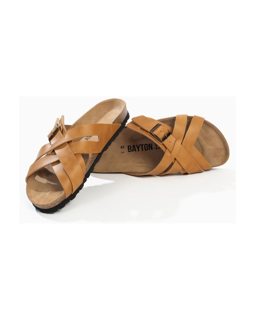 Bayton-Mules-men-RIETI-camel-