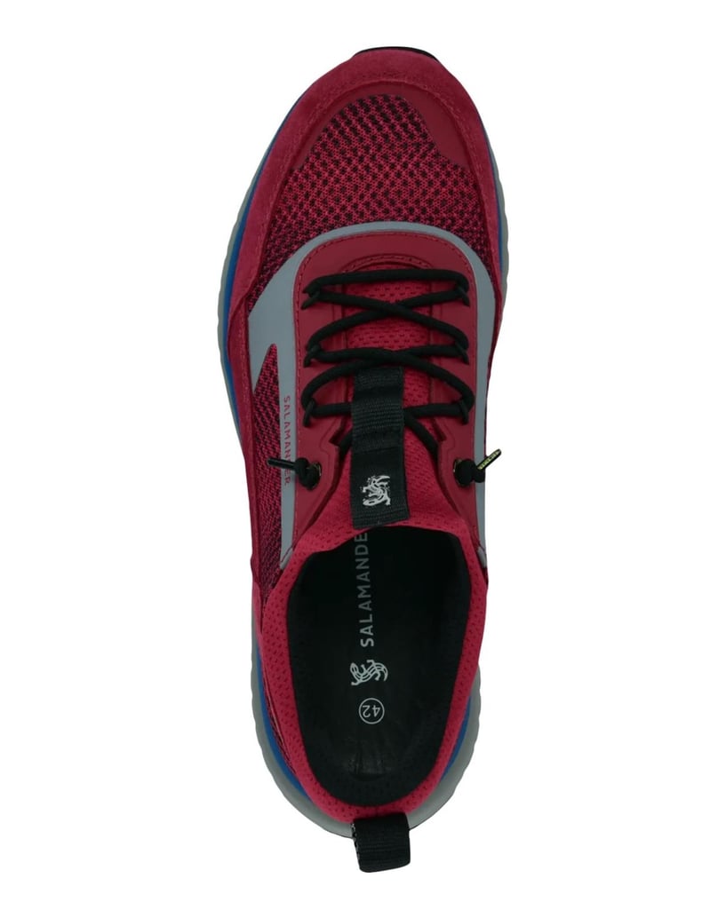Salamander-Sneaker-rot