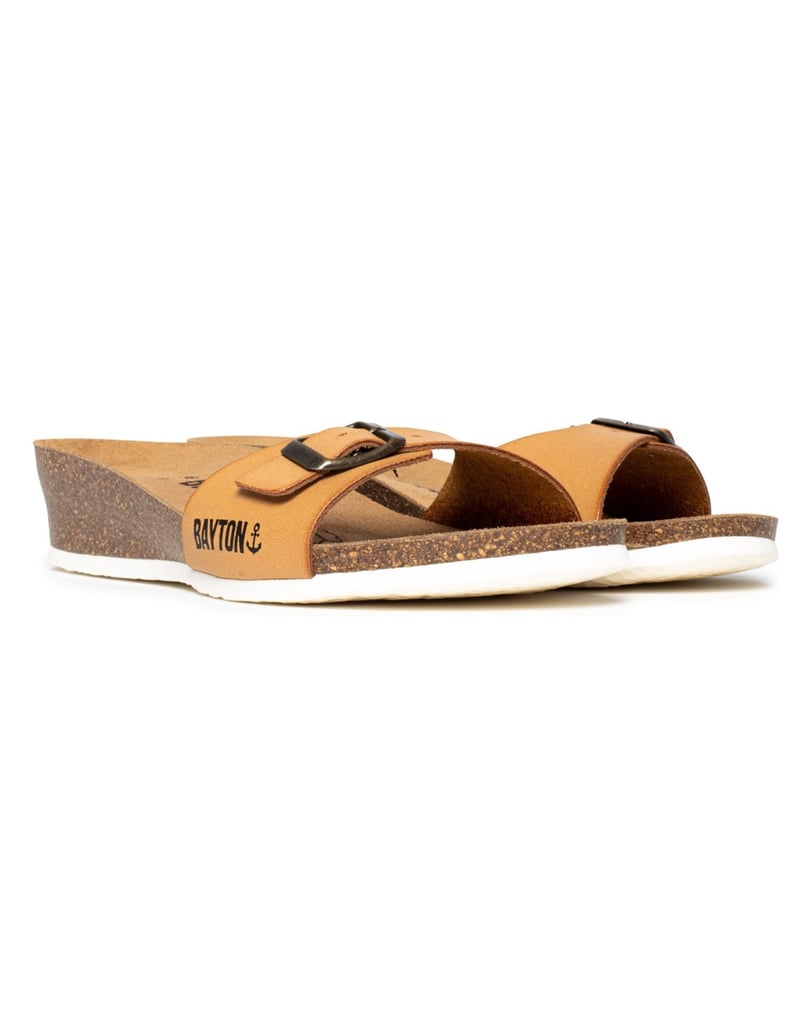 Bayton-Mules-Zorga-camel-