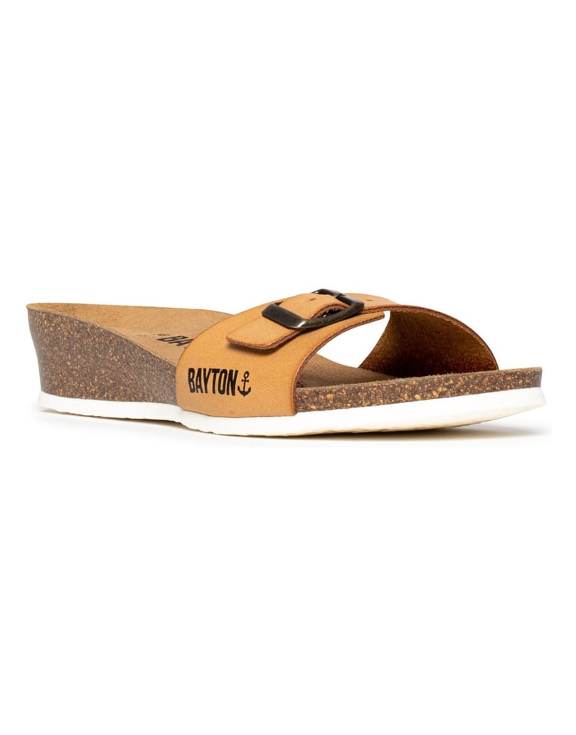 Bayton-Mules-Zorga-camel-