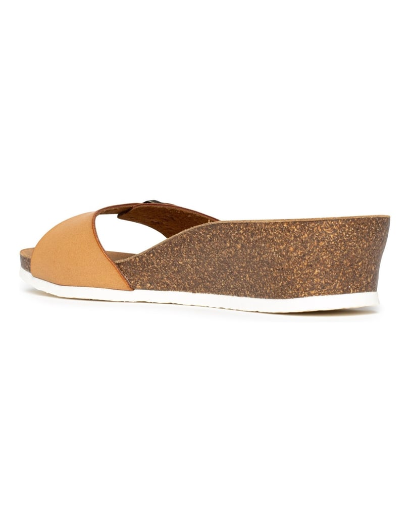 Bayton-Mules-Zorga-camel-