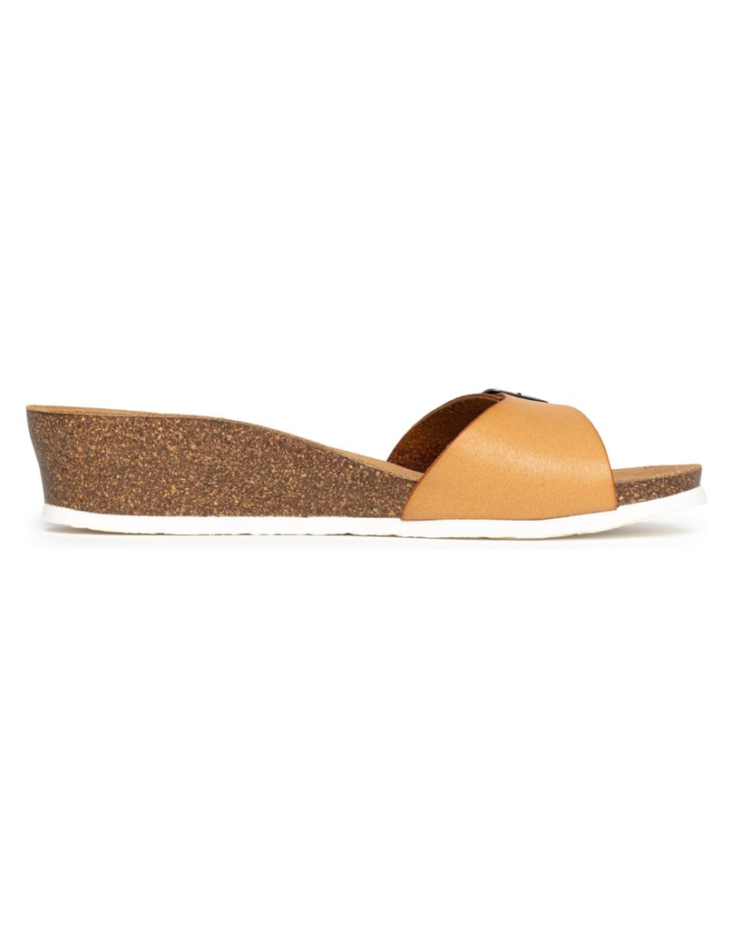 Bayton-Mules-Zorga-camel-
