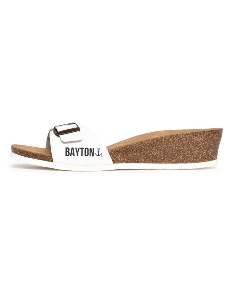 Bayton-Mules-Zorga-camel-