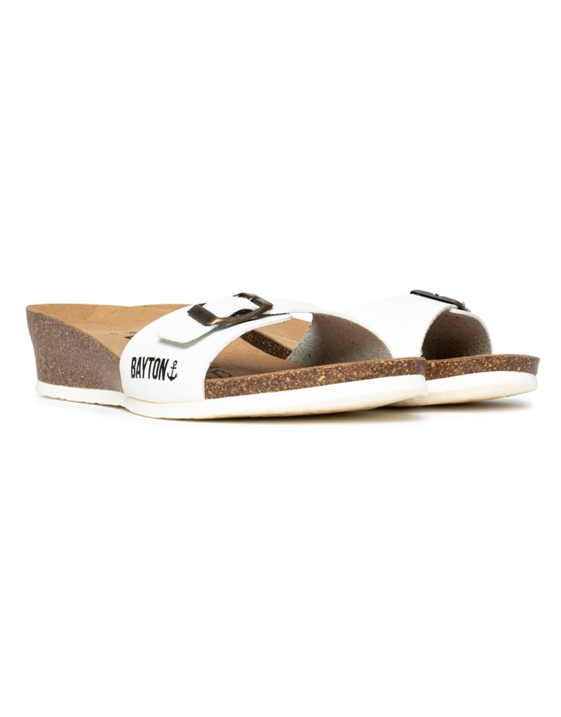 Bayton-Mules-Zorga-camel-