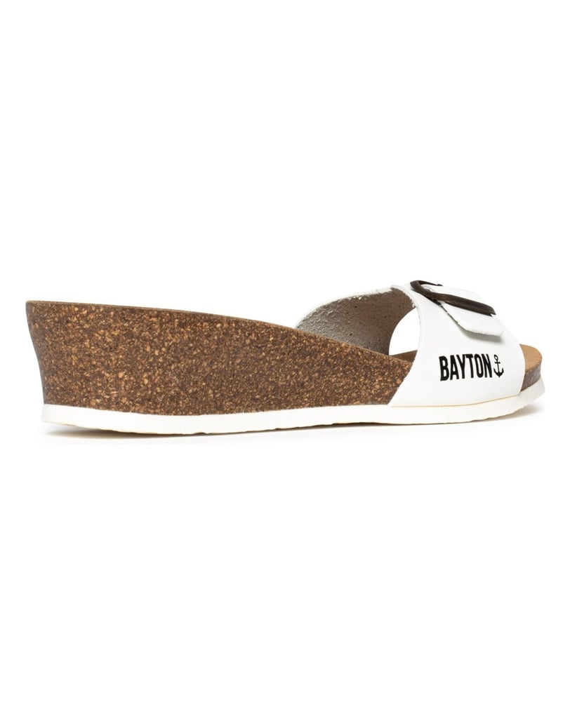 Bayton-Mules-Zorga-camel-