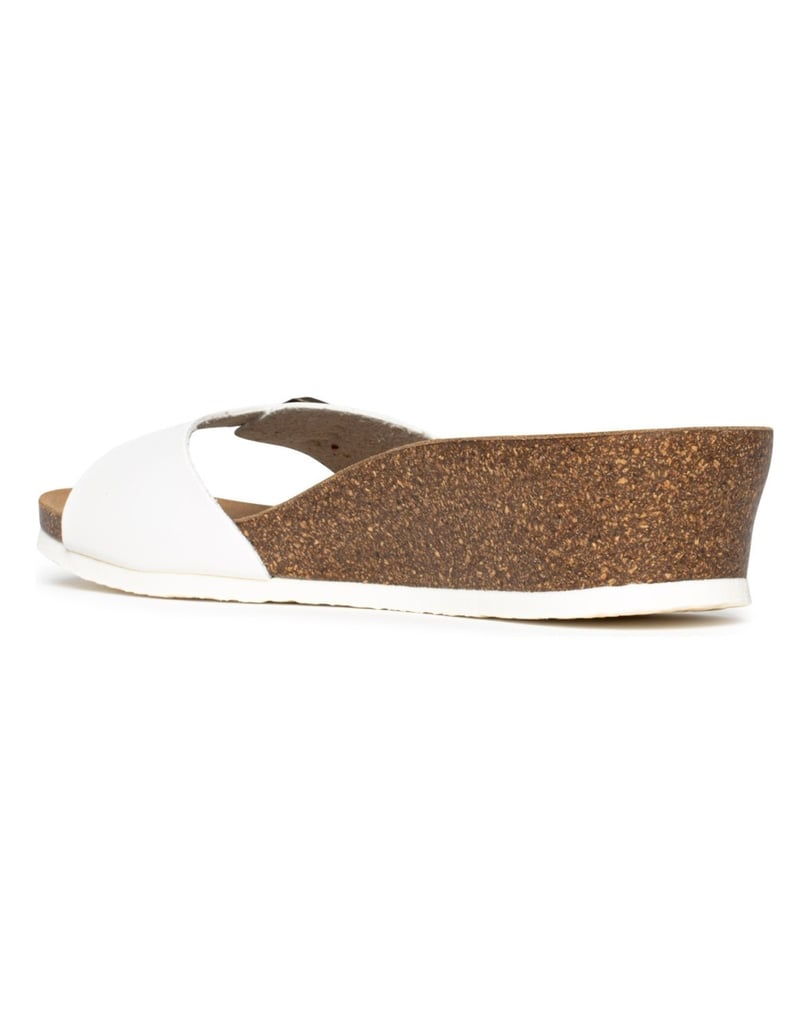 Bayton-Mules-Zorga-camel-
