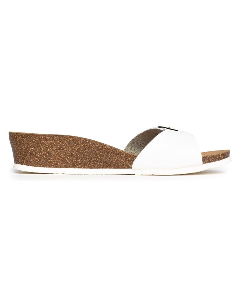 Bayton-Mules-Zorga-camel-