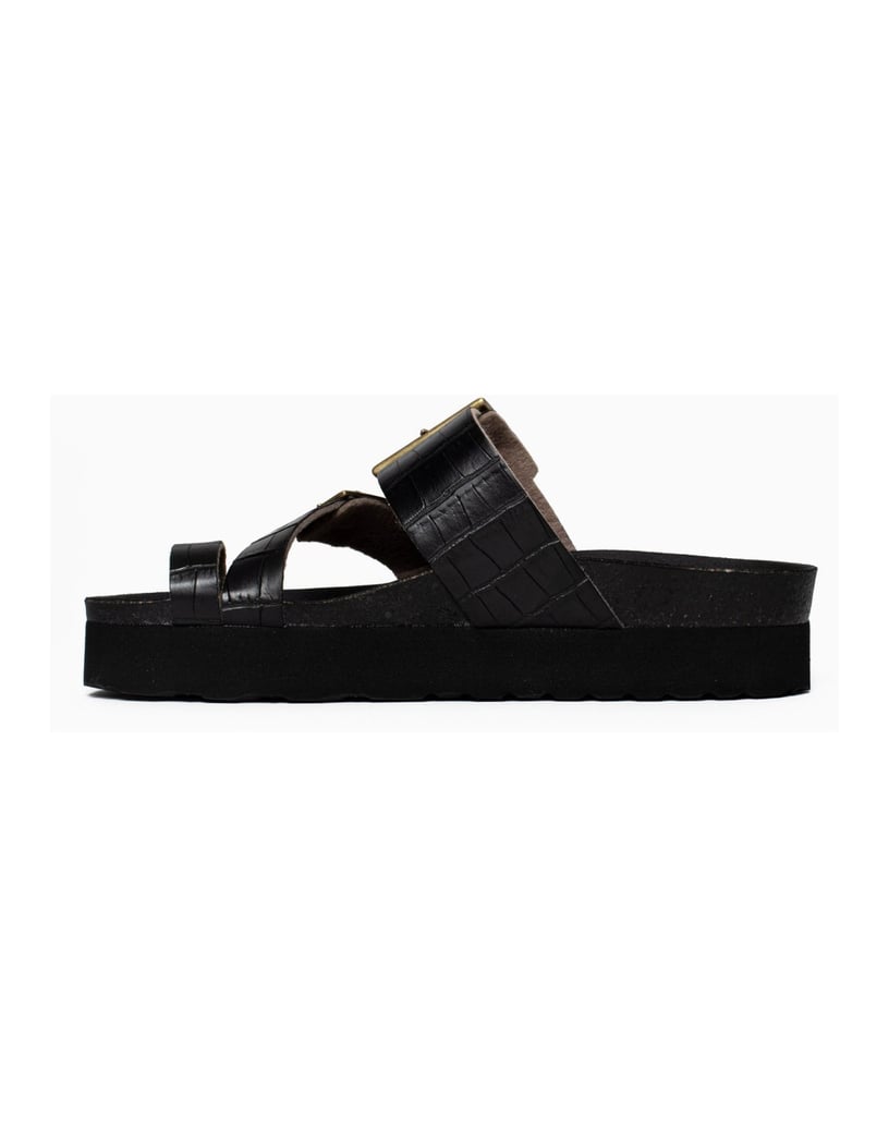 Bayton-Mules-Castel-schwarz