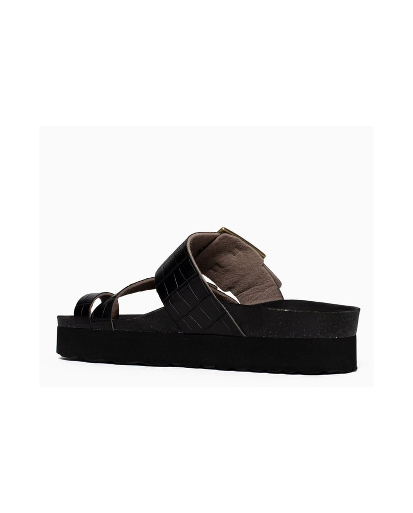 Bayton-Mules-Castel-schwarz