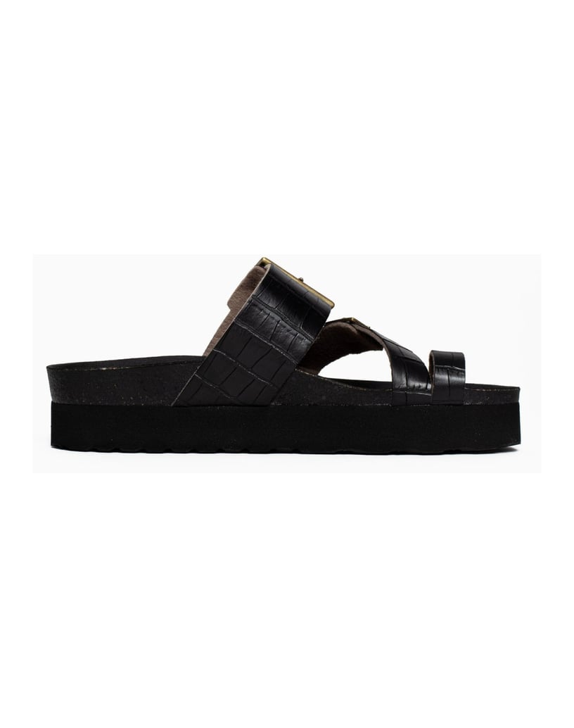 Bayton-Mules-Castel-schwarz