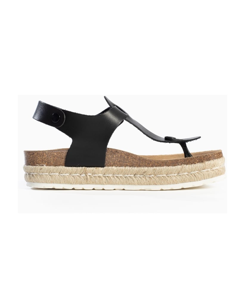 Bayton-Mules-Celiane-schwarz