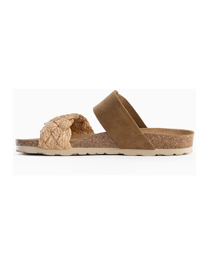 Bayton-Carina-mules-camel-