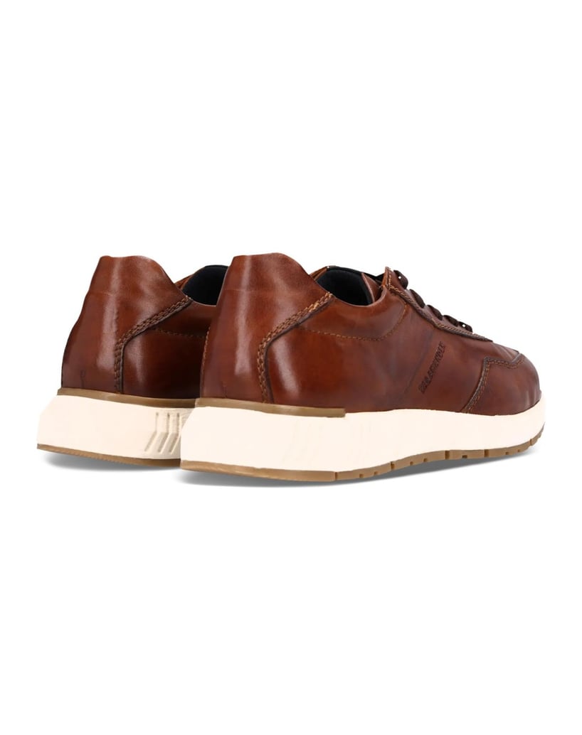 Salamander-Sneaker-cognac