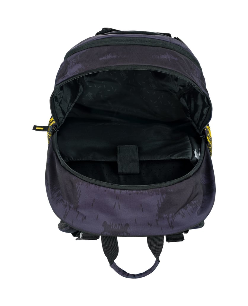 Baagl-Schulrucksack-Skate-Dune-grau