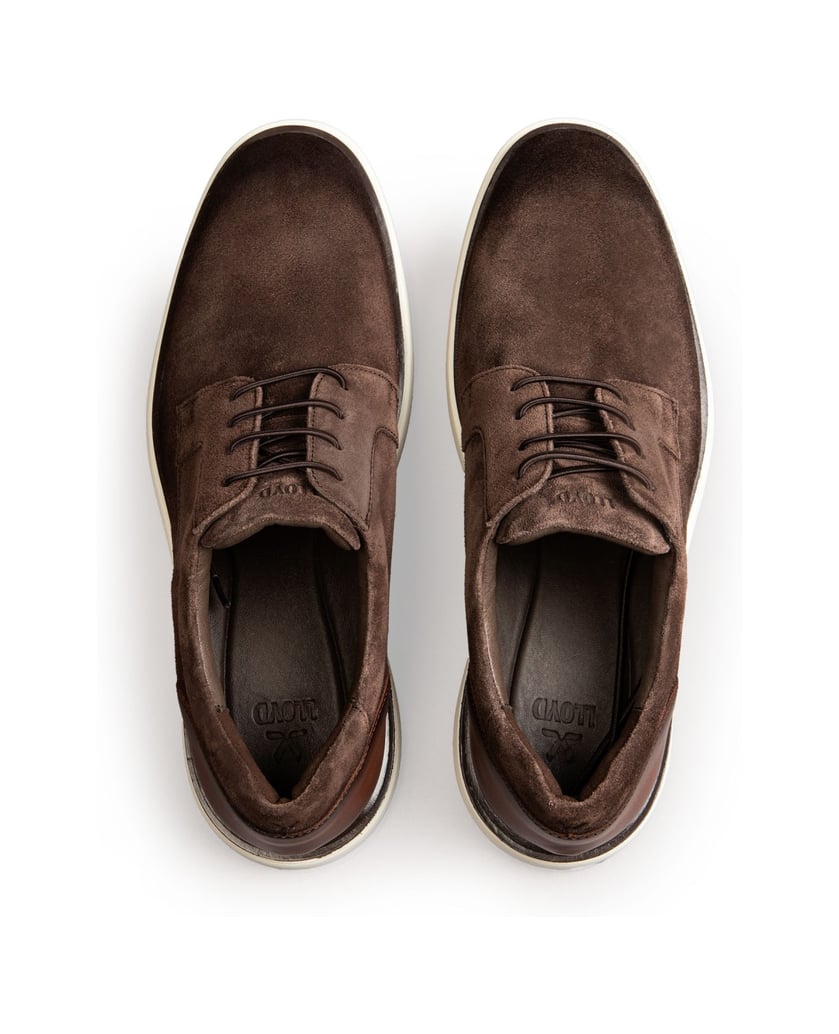 Lloyd-SABLE-113-beige