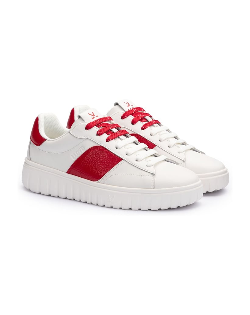 Lloyd-TORO-WAY-weiss-