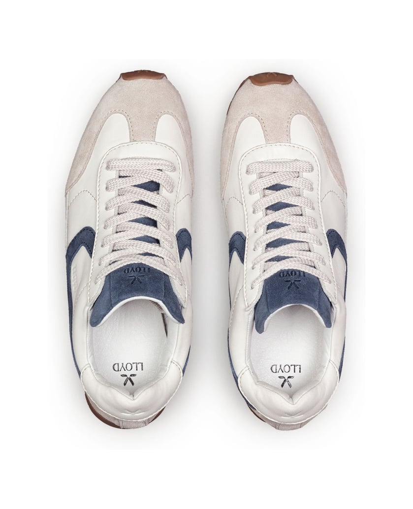 Lloyd-VELOCITY-M-blau-