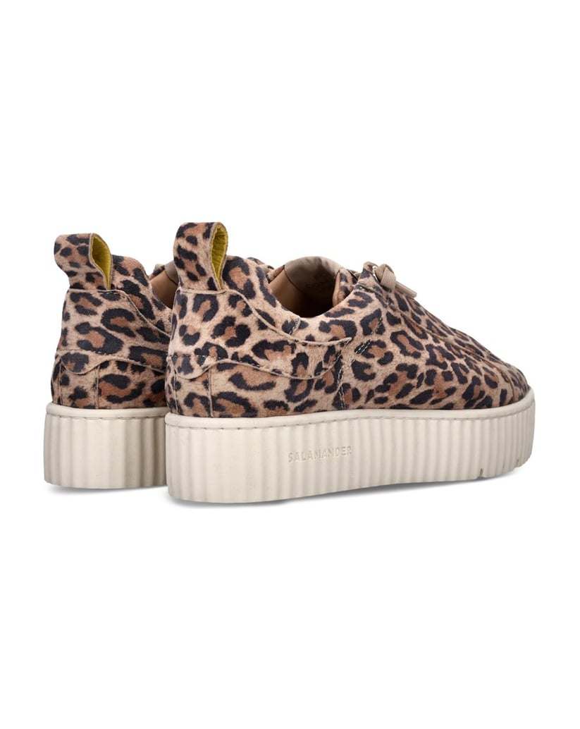 Salamander-Sneaker-multicolor
