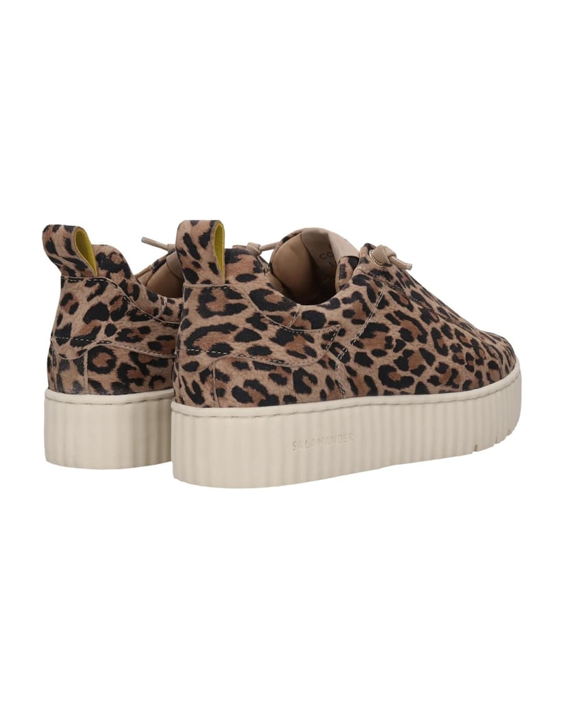 Salamander-Sneaker-multicolor
