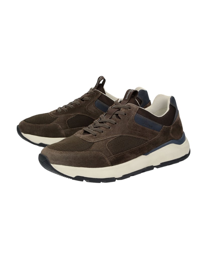 Sioux-Sneaker-Rogerlino-700-H-braun