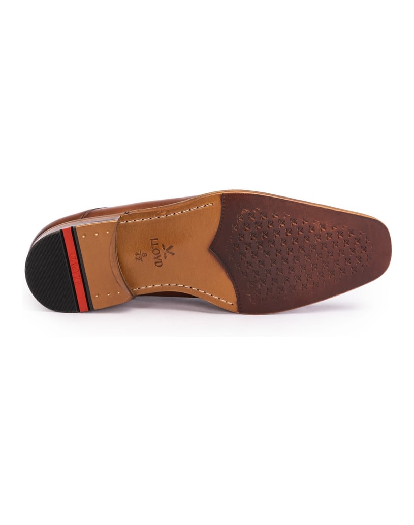 Lloyd-SAVIN-110-cognac