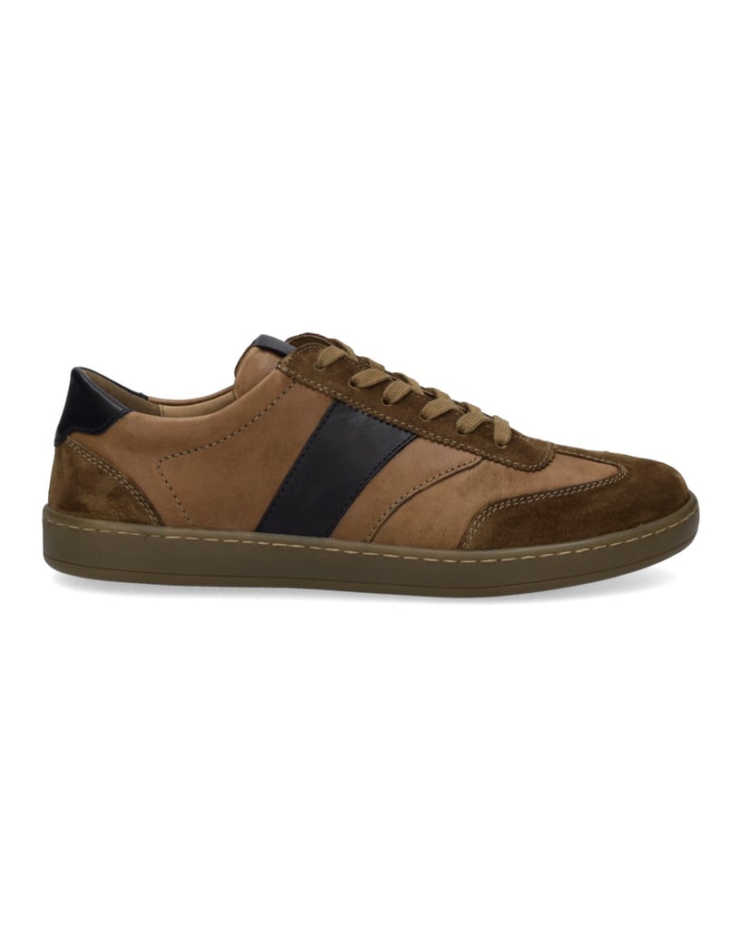 JOSEF-SEIBEL-Lio-06-hnedá