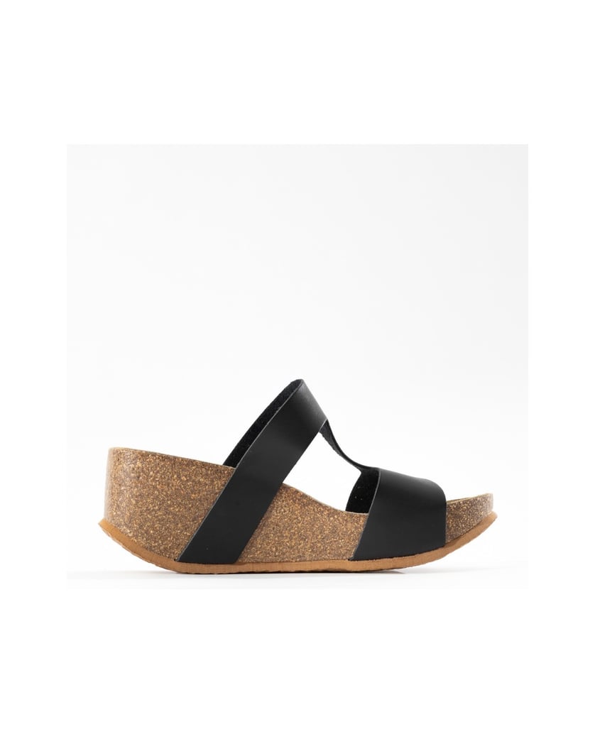 Bayton-Mules-Hecate-schwarz