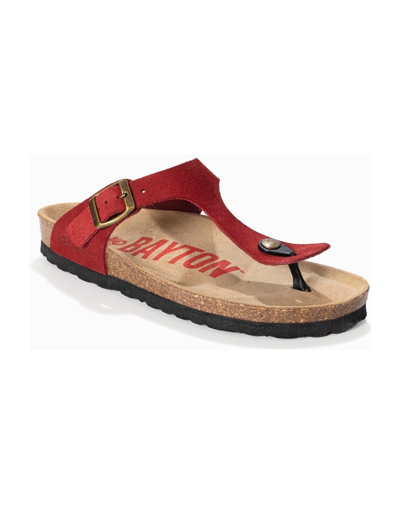 Bayton-MERCURE-rot
